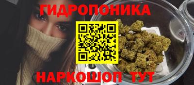 стаф Краснодар