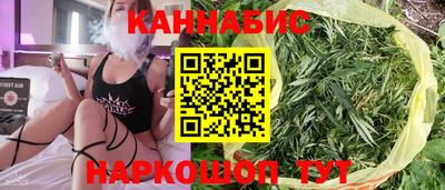 стаф Краснодар